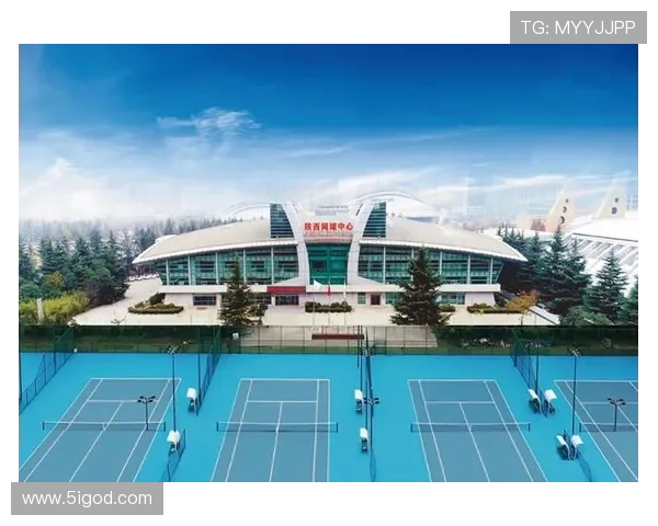 西安网球队实力揭秘：网球巨献背后的故事与成就